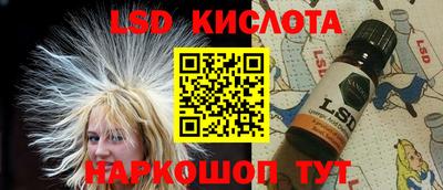 СК Кингисепп