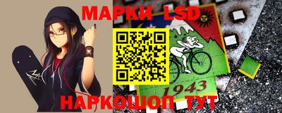 СК Кингисепп