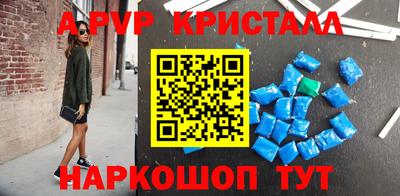 СК Кингисепп