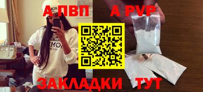 стаф Кинель