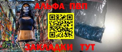 СК Кингисепп